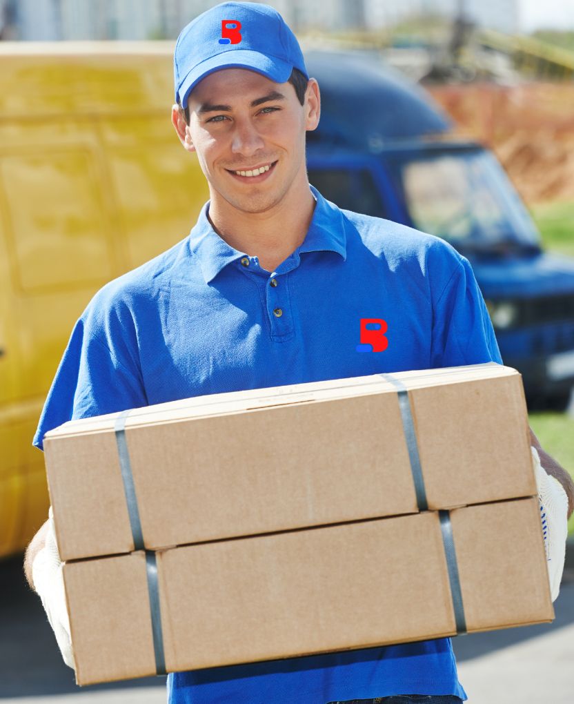 parcel delivery service bali solutions